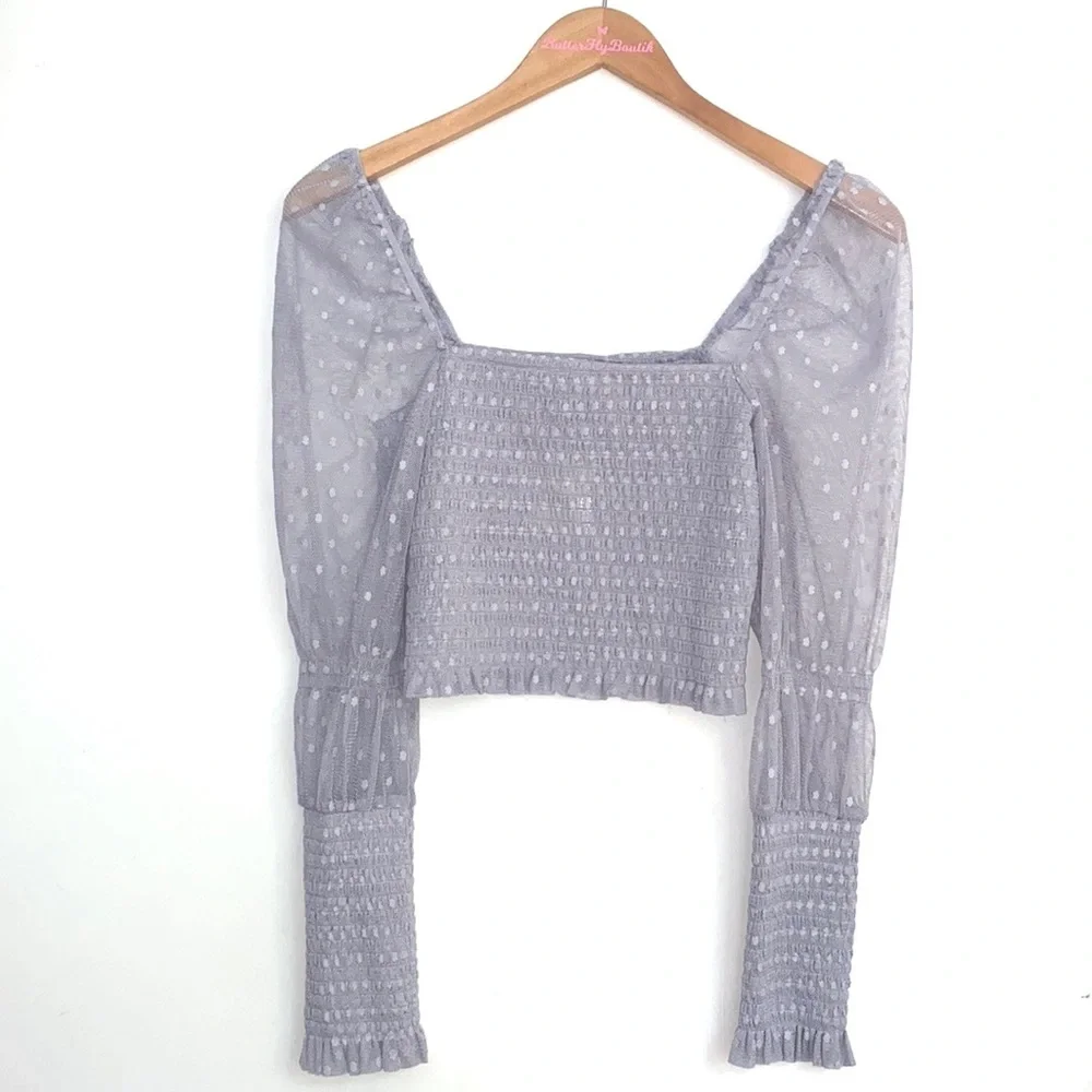 (A7) Free People Grey‎ Mesh Smocked Long Sleeve Crop Top, Size Small, NWT